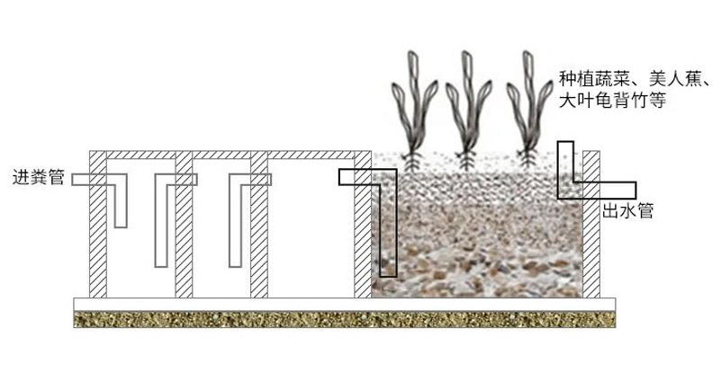 三格化糞池+人工濕地處理模式