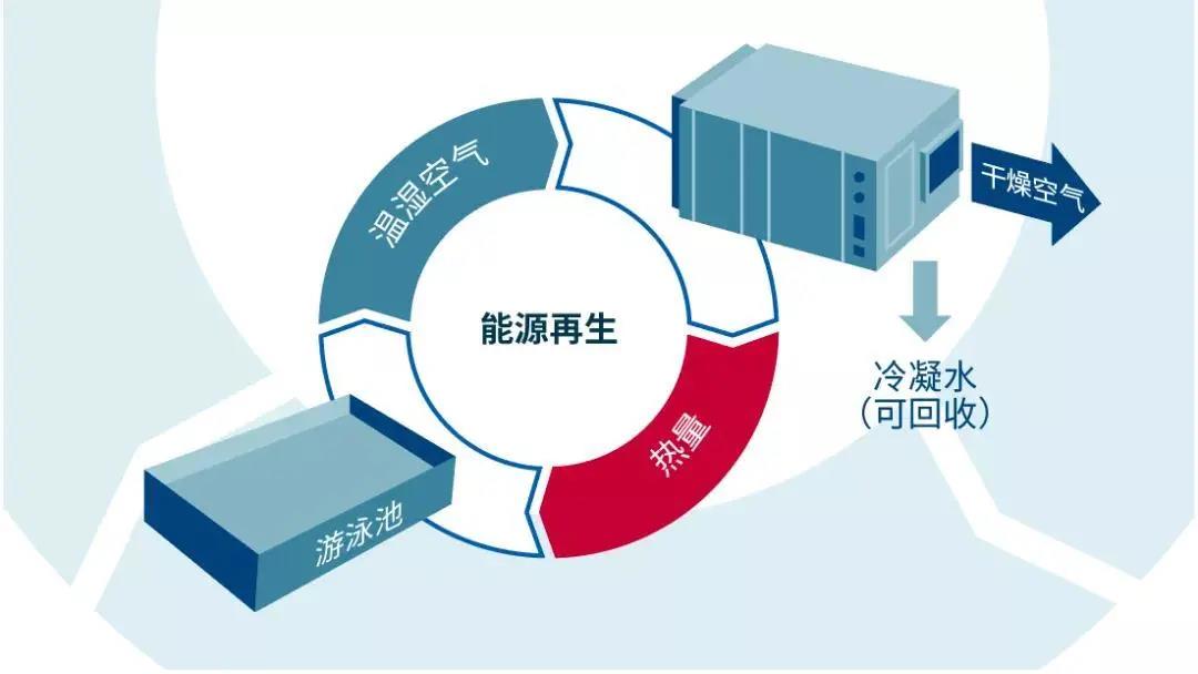 低氯游泳館,無氯游泳池,低氯泳池，低氯系統(tǒng)