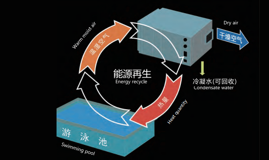 室內(nèi)泳池，室內(nèi)恒溫泳池，室內(nèi)泳池除濕